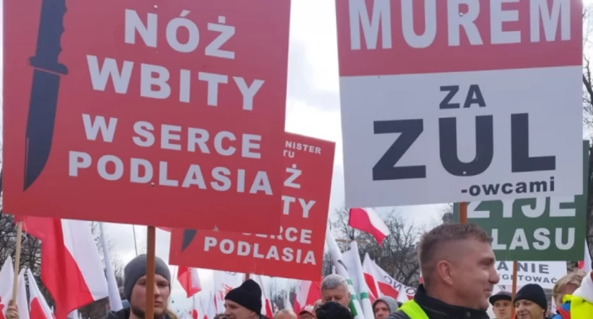 Dramat podlaskiej branży drzewnej: Grożą nam upadłości i zwolnienia ludzi. Chcemy prawdziwego dialogu!