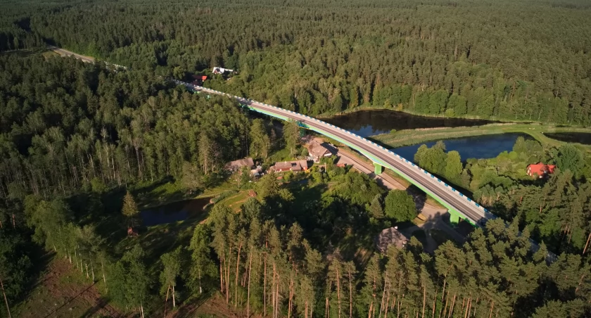 Koalicja szkodników 13 grudnia postanowiła zaorać branżę drzewną