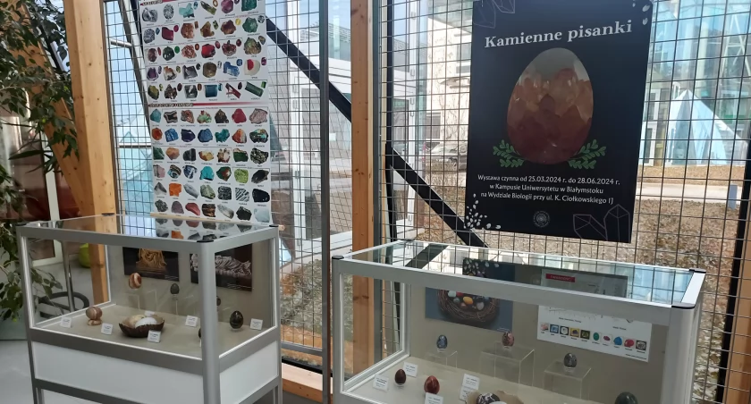 Centrum Przyrodnicze UwB przygotowało nową ekspozycję. Tym razem tematem głównym są jajka