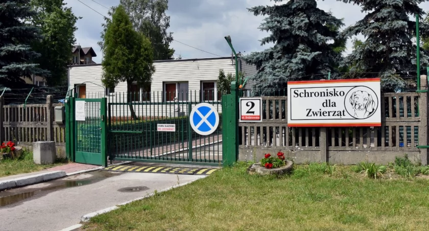 Władze Białegostoku przygotowują się do rozbudowy schroniska dla zwierząt