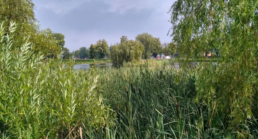 Na projekty z zakresu ochrony środowiska zarząd województwa przekazał prawie 8,5 mln zł
