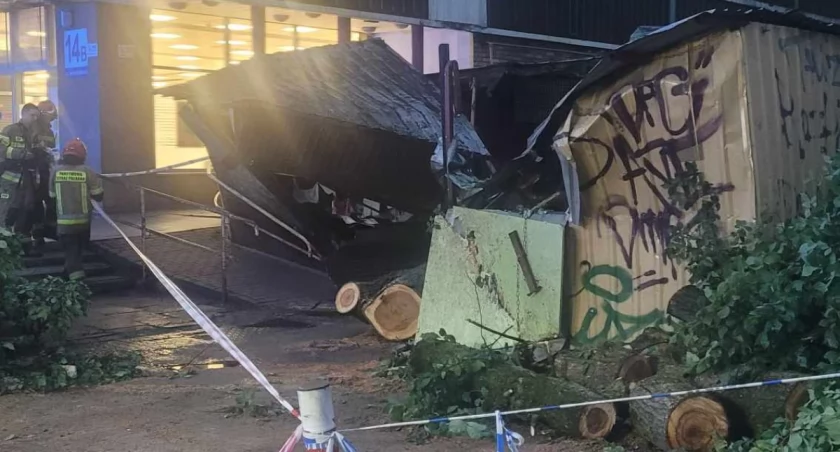 Wichura uszkodziła stragany przy Skłodowskiej. Drzewo zostało wyrwane z korzeniami