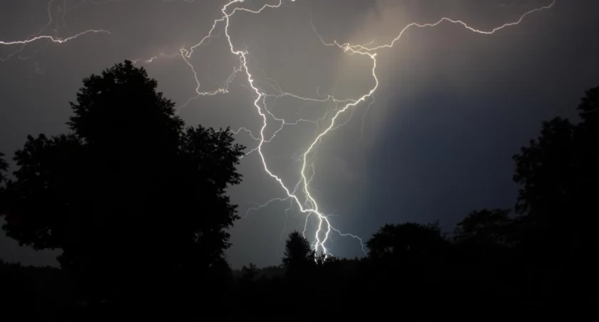 Idą burze. Jeśli zaskoczy cię w lesie, sprawdź jak się zachować
