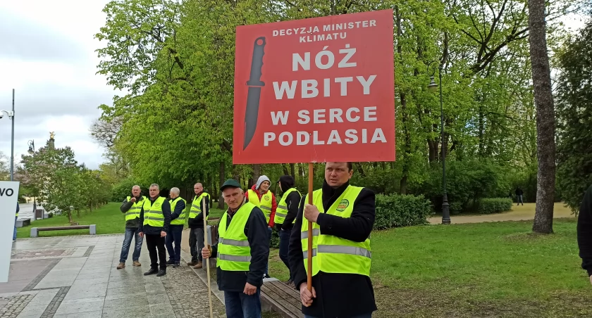Moratorium przedłużone, wycinka drzew wstrzymana do końca września. Branża drzewna załamana