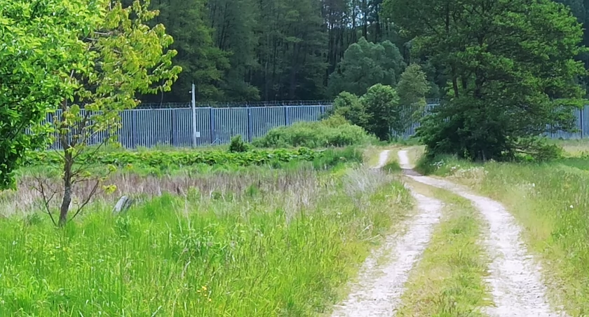 Jaki wpływ na zwierzęta ma wybudowana zapora na granicy polsko – białoruskiej? To badają naukowcy