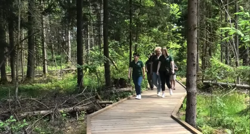 Kładka w Rezerwacie Krzemianka po remoncie znów służy turystom