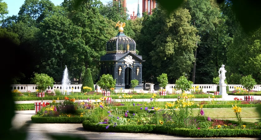 Białystok cieszy oczy nową szatą kwiatową