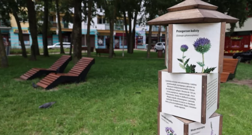 Białystok ma nowy park kieszonkowy