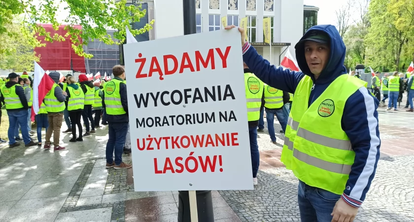 Konsultacje odnośnie moratorium wstrzymującego wycinkę drzew potrwają dłużej