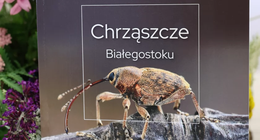 Chcesz się więcej dowiedzieć o chrząszczach z Białegostoku? Sprawdź najnowszą publikację