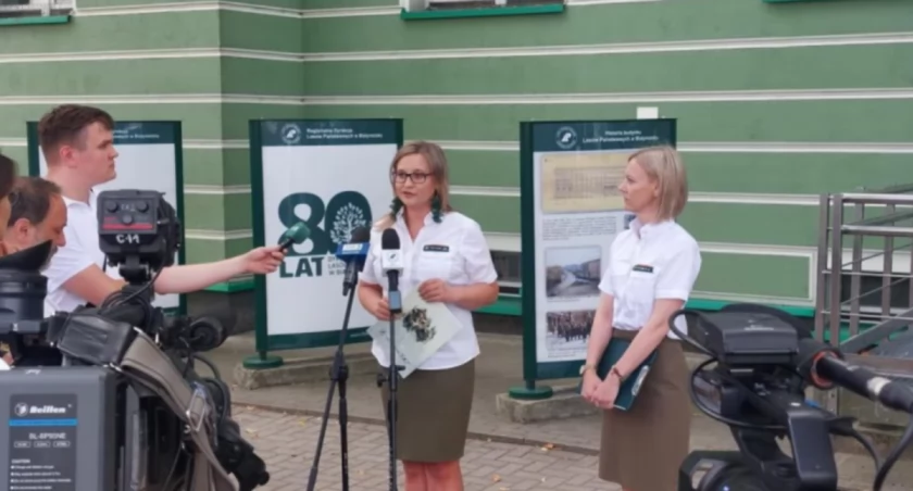 Ograniczenie pozyskiwania drewna: Lasy Państwowe proponują konsultacje