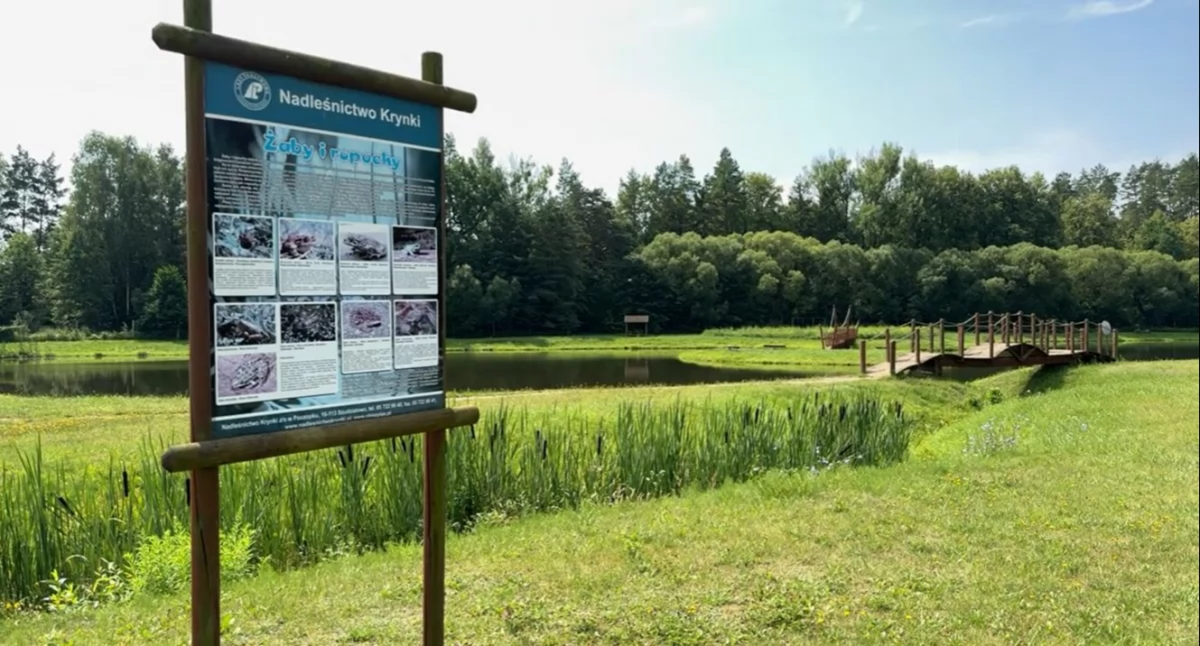 Silvarium – atrakcja turystyczna w Puszczy Knyszyńskiej