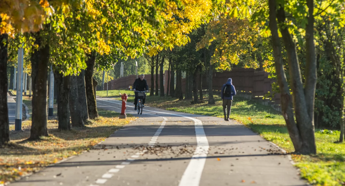 Wyruszy rajd rowerowy. Przejedzie szlakiem Green Velo w naszym regionie