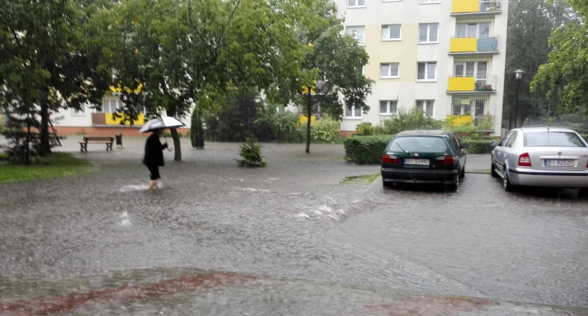 Ile prawdy jest w przysłowiach pogodowych naszych babć?