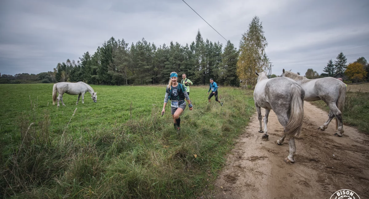 Jesienią odbędzie się piąta edycja biegu Bison Ultra Trail