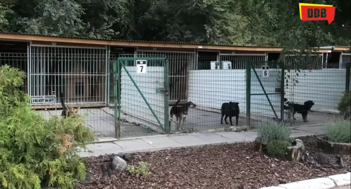 Zostań wolontariuszem w Dolinie Dolistówki. Uwaga! Liczba miejsc ograniczona