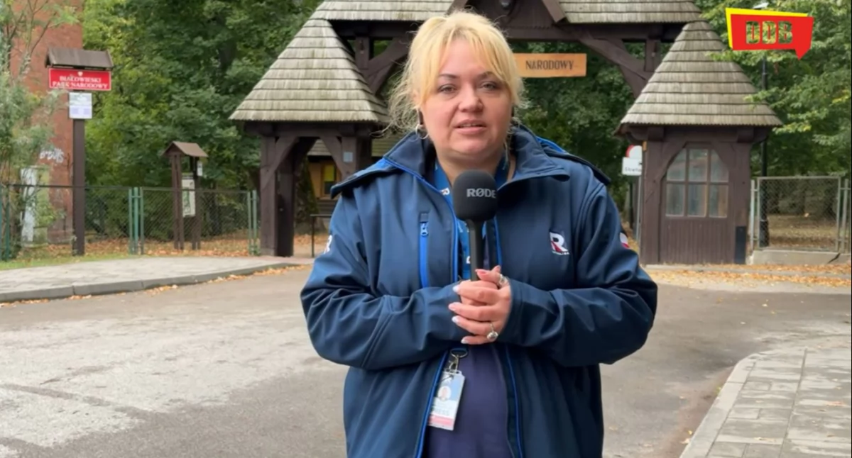 Ministerstwo Klimatu i Środowiska przed likwidacji nadleśnictw w Puszczy Białowieskiej