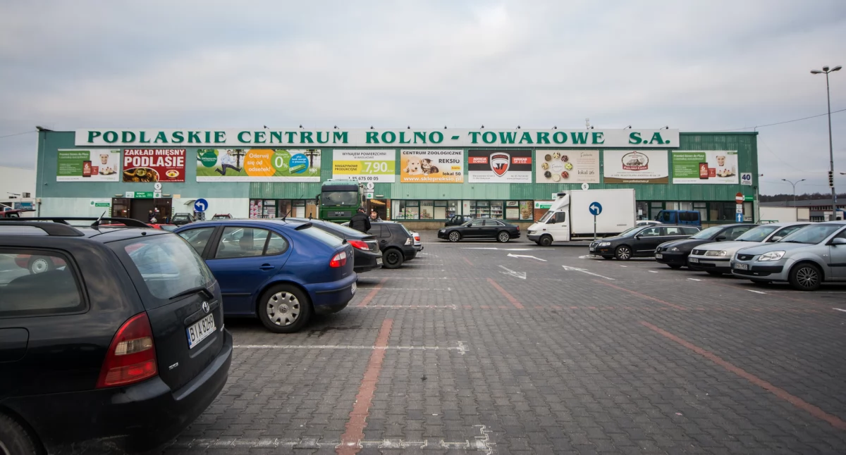 Giełda na Andersa zaprasza na wyjątkowe wydarzenie z roślinami