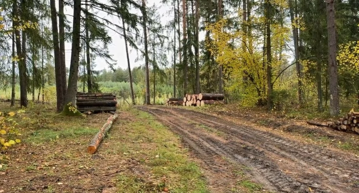 Moratorium Hennig-Kloski do kosza. Mieszkańcy województwa podlaskiego go nie chcą