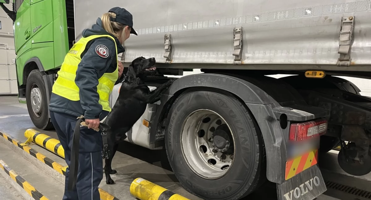 Zamiast transportu AGD jechało w ciężarówce pół miliona paczek nielegalnych papierosów