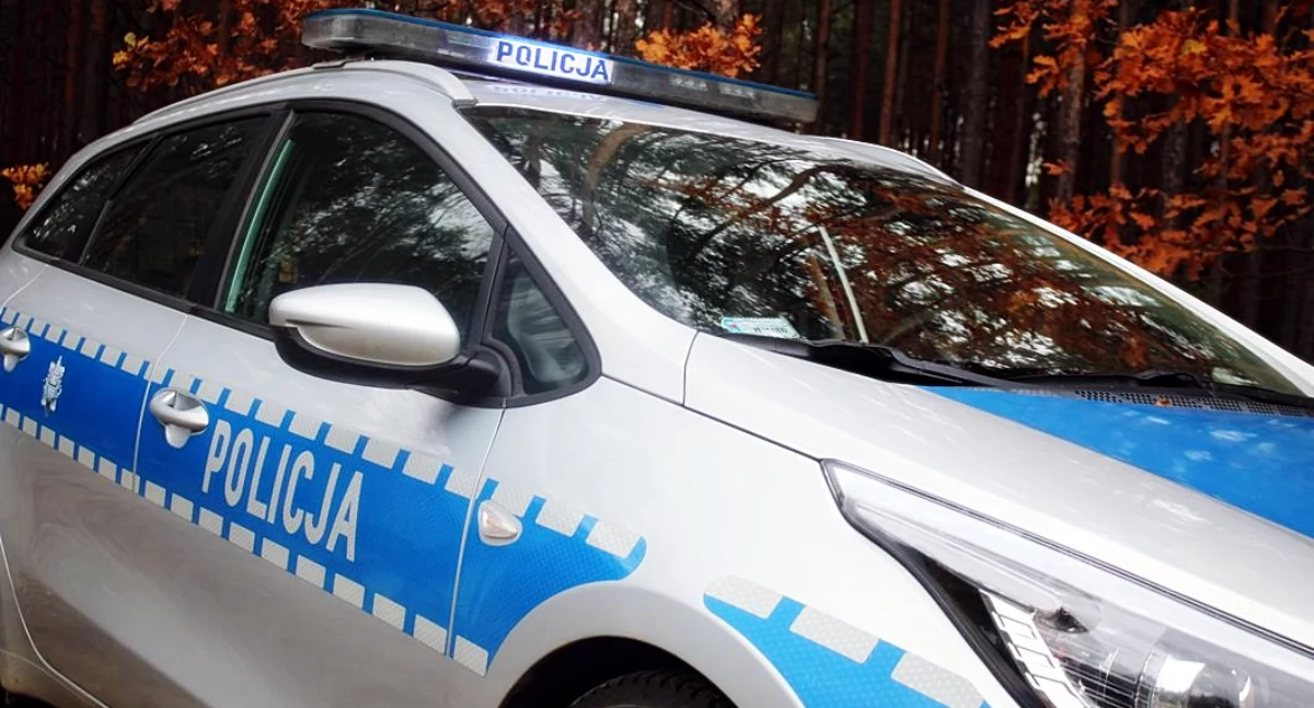 W województwie podlaskim coraz więcej zdarzeń drogowych z dzikimi zwierzętami