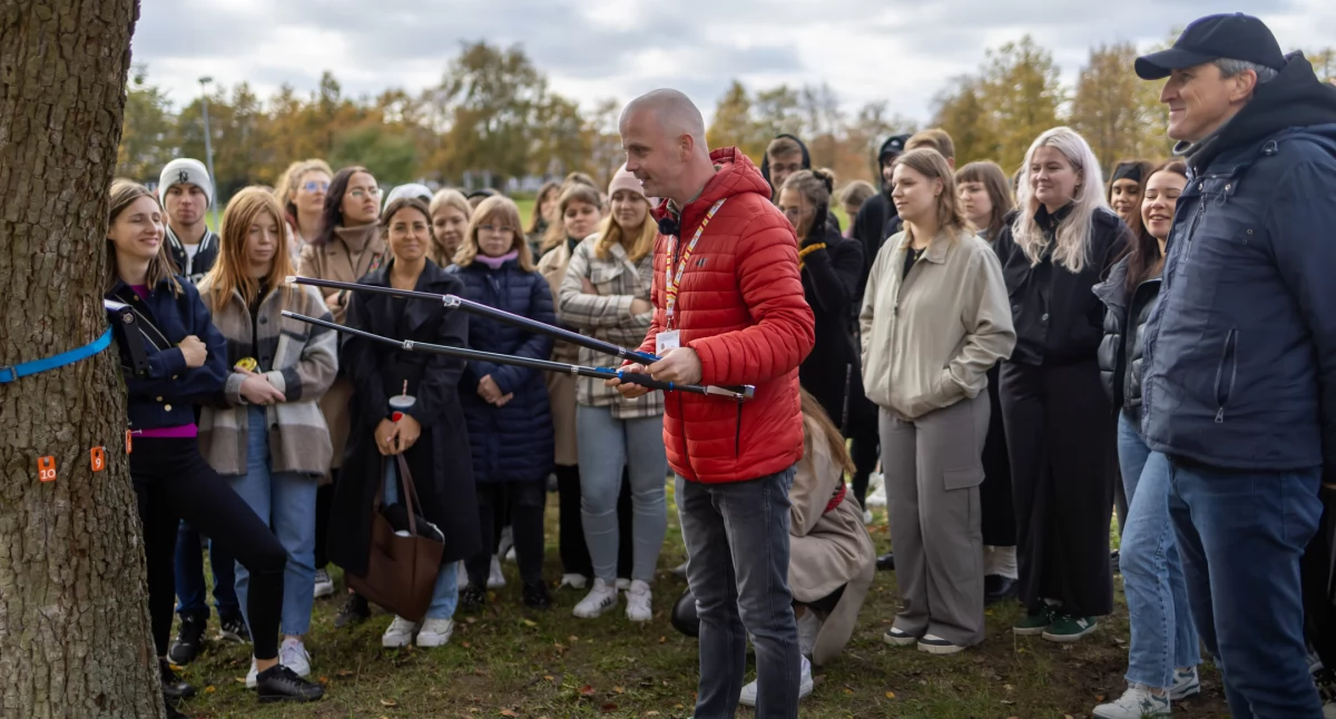 W sercu kampusu zostanie zachowana 50-letnia grusza