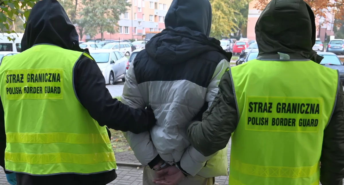 Wyszukiwali kurierów do przerzucania nielegalnych migrantów. Straż Graniczna zatrzymała 11 osób