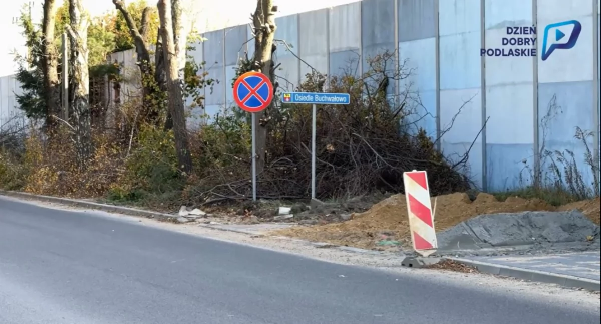 Wojna o drzewa w Sokółce. Na pierwszym planie demagogia, a daleko bezpieczeństwo