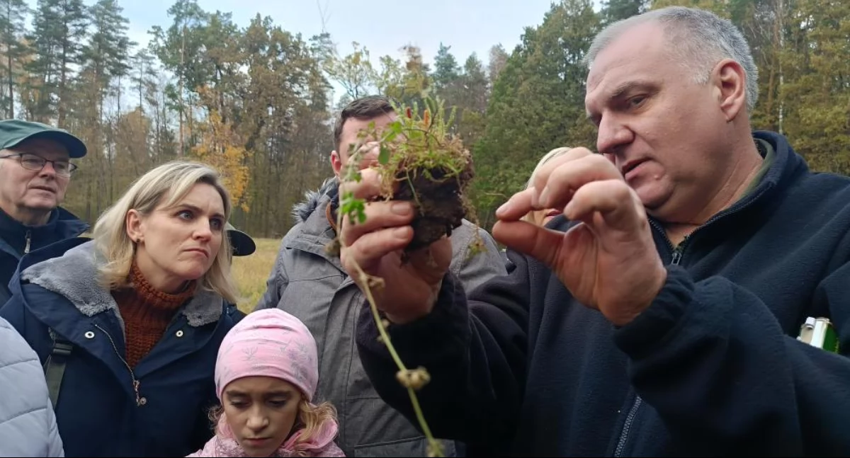 Niesamowite odkrycie w Puszczy Białowieskiej. Znaleziony został cordyceps militaris 