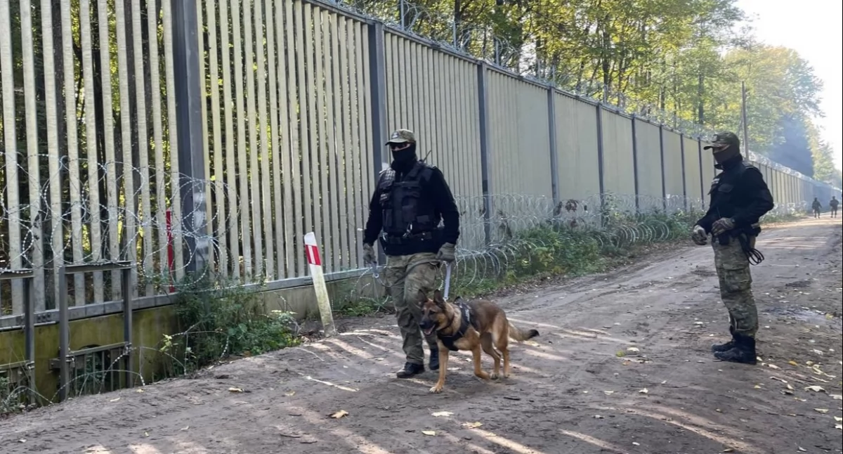 Podlaska Straż Graniczna interweniowała prawie 20 razy wobec nielegalnych migrantów