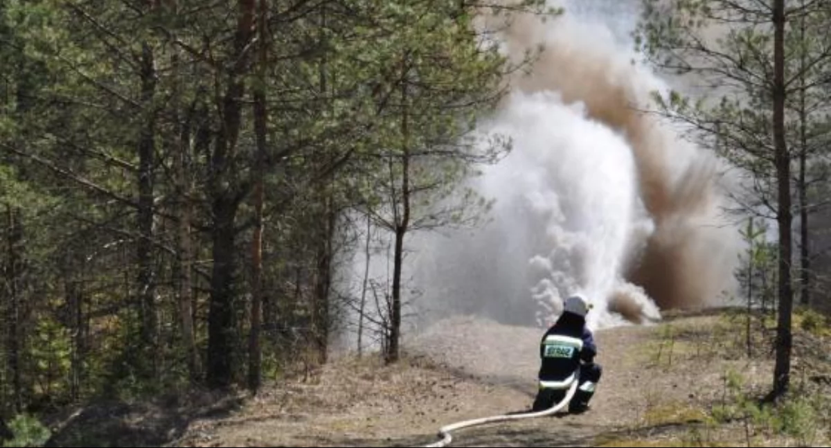 Leśnikom bardzo pomagają systemy satelitarne