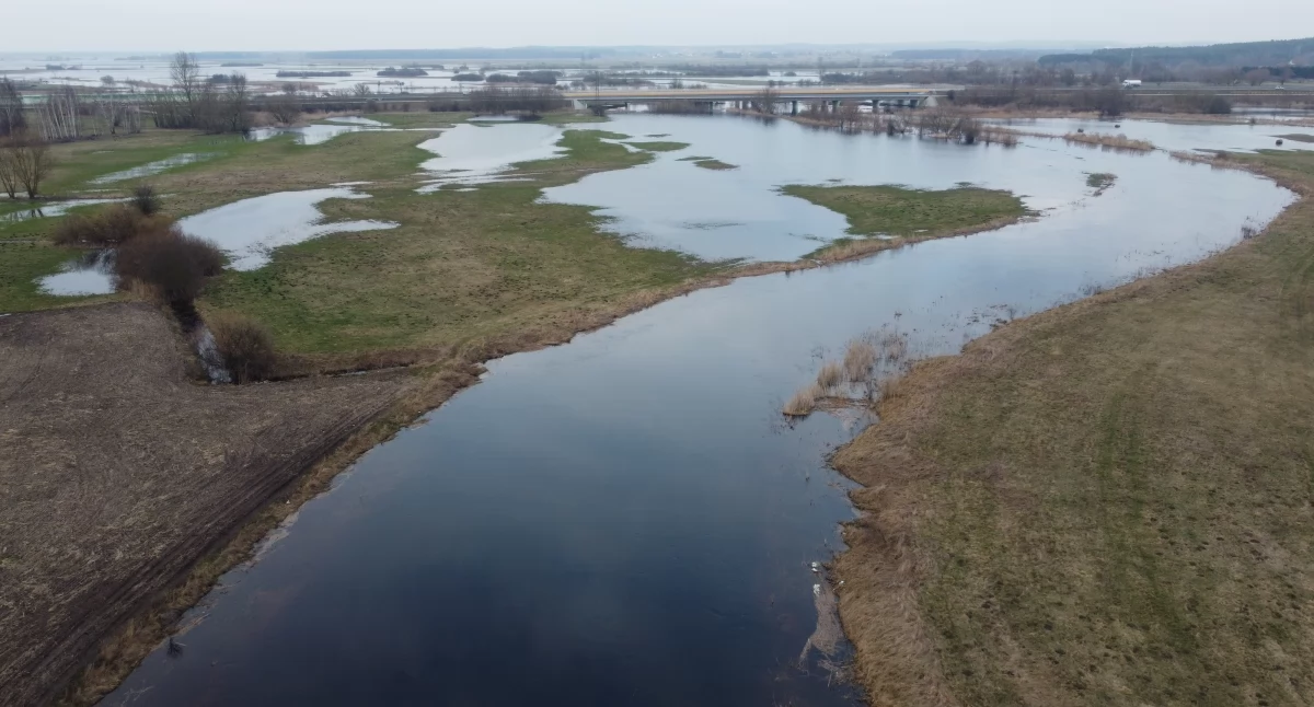 Dzięki białostockim naukowcom można online sprawdzić stan wód w rzece Białej, Supraśl, Narew i Biebrza