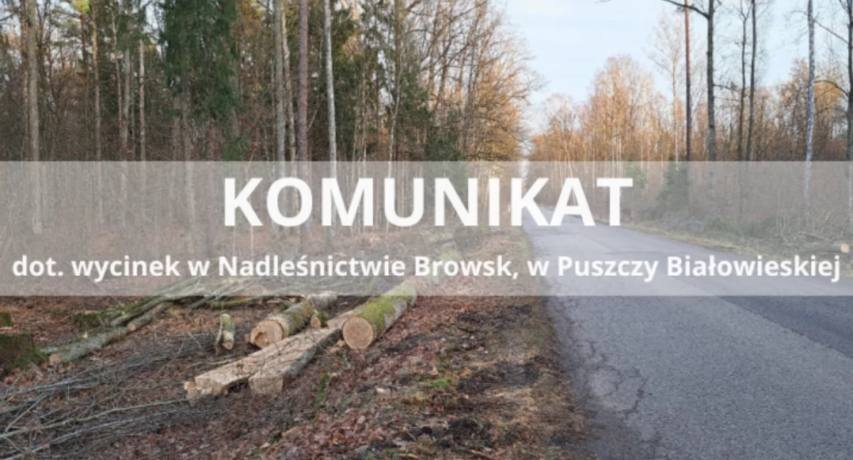 Regionalna Dyrekcja Lasów Państwowych w Białymstoku nie chce przypisywania jej niepotwierdzonych działań