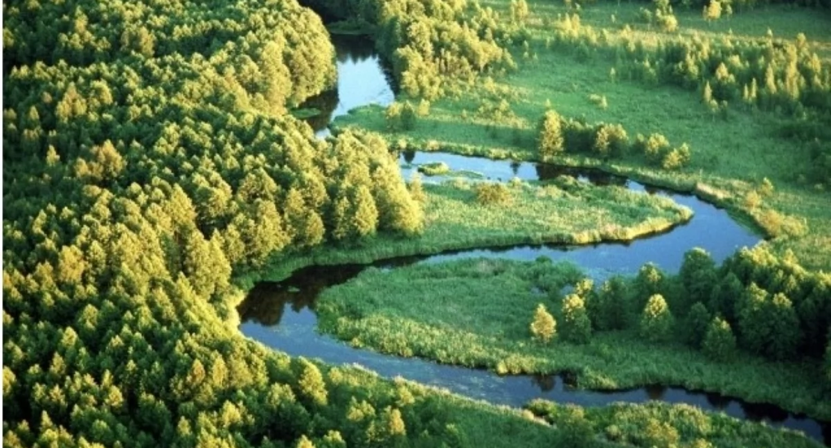 W województwie podlaskim przybędzie 6 nowych rezerwatów przyrody