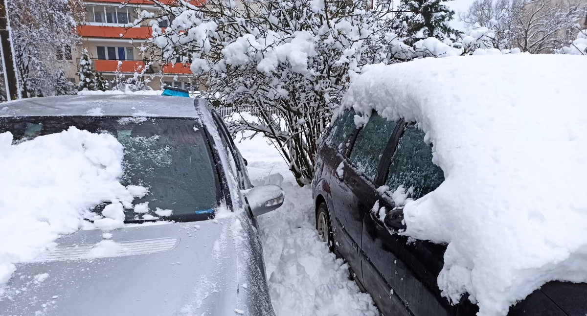 Mikołajki w Białymstoku powinny pożegnać nas śniegiem