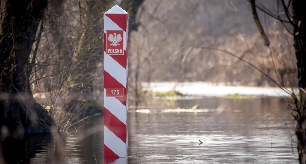 Nielegalni migranci ostali zatrzymani zaraz po przekroczeniu granicy