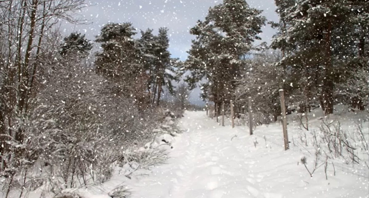 Kiedy czeka nas śnieg i mróz?