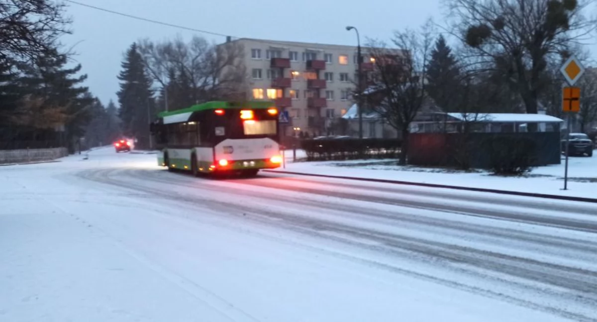 Czy zima jeszcze wróci? 