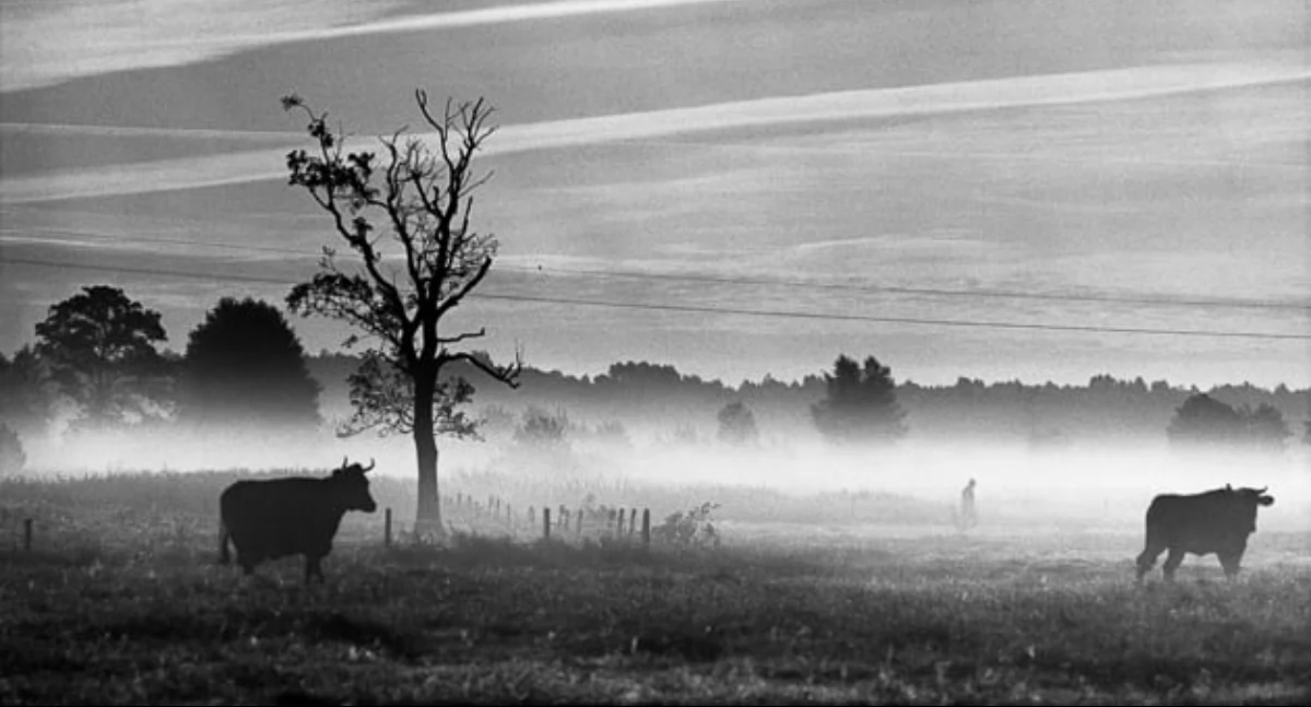 Piotr Świderski gościem specjalnym w Muzeum Fotografii Wiktora Wołkowa