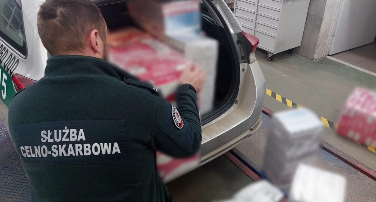 Po wizycie funkcjonariuszy KAS przemytnicza dziupla przestała istnieć