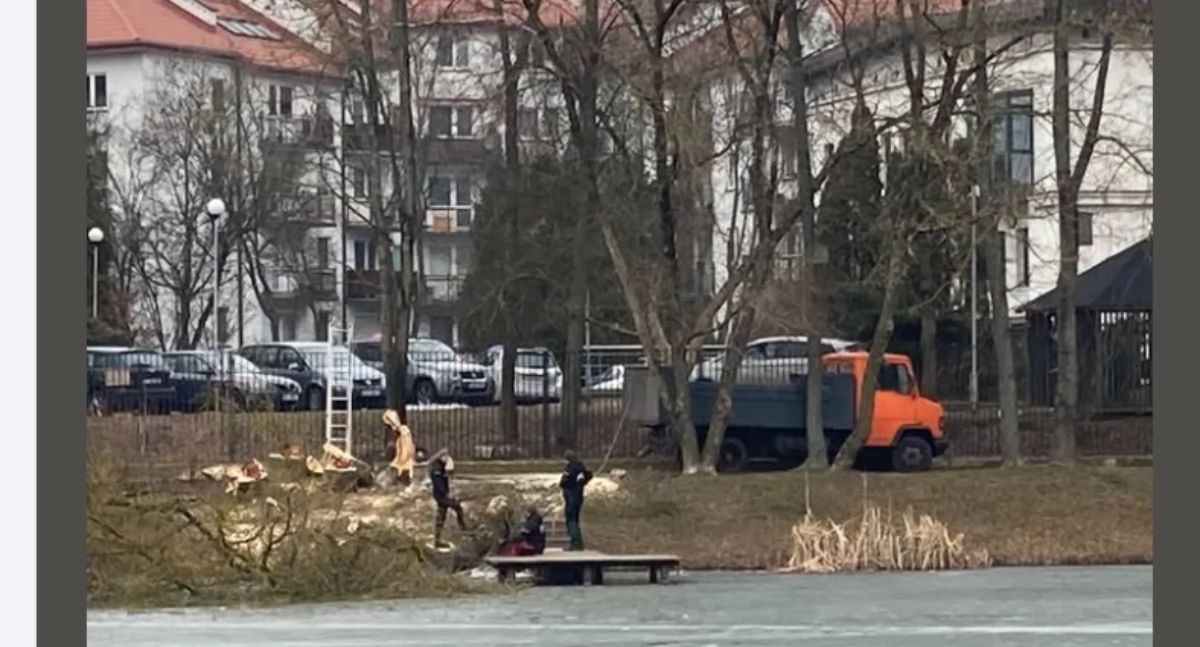 Wieżowiec na Mickiewicza. Radni spauzowali. Ruszyła wycinka (WIDEO)