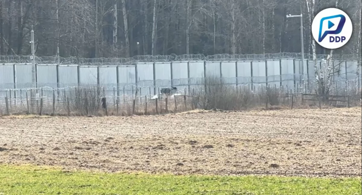 Żołnierze chroniący polskiej granicy mogą pójść do więzienia