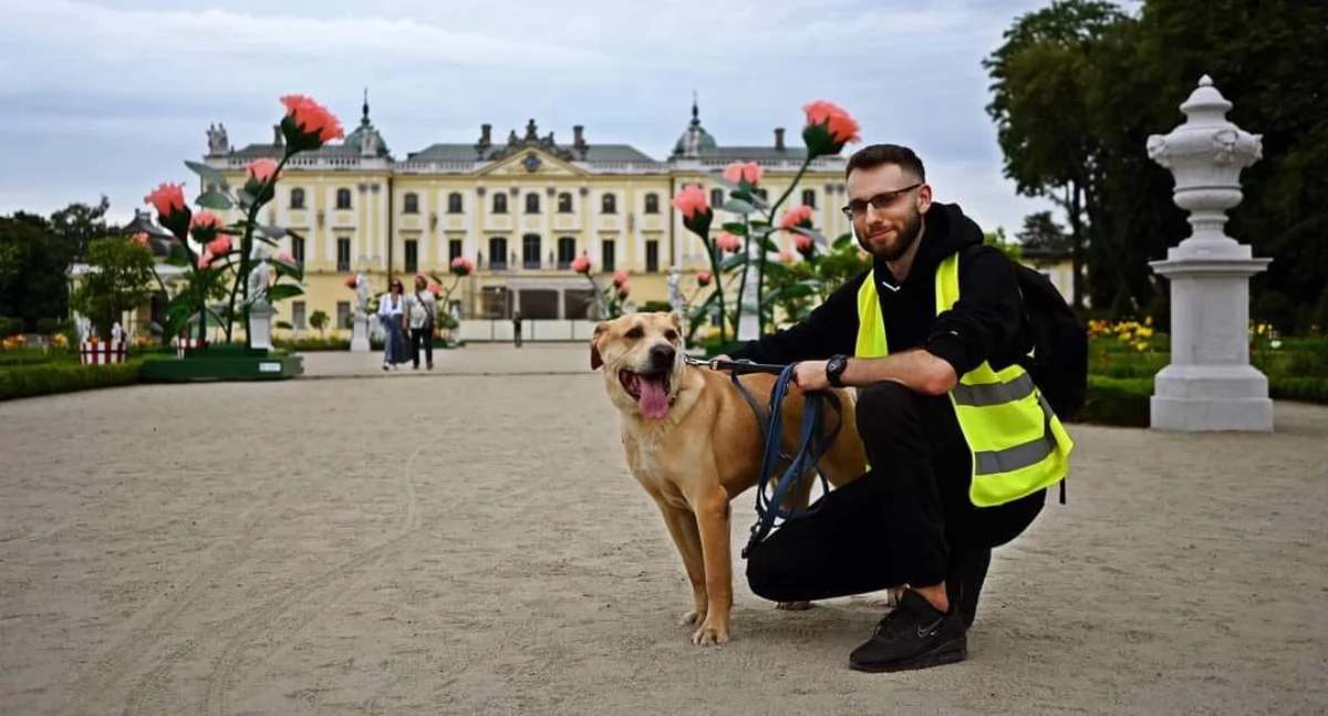 Na Psie Wagary zapraszają podlaskie schroniska