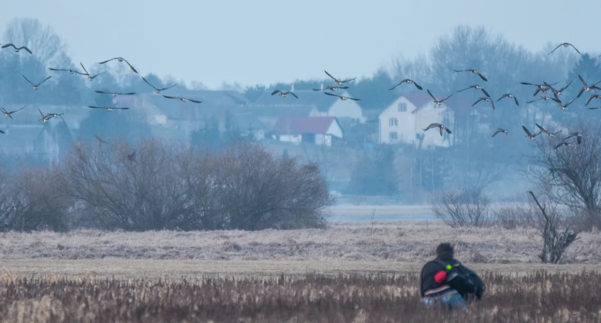 Można mieszkać blisko miasta. Wieś podmiejska w Polsce przyciąga jak magnes