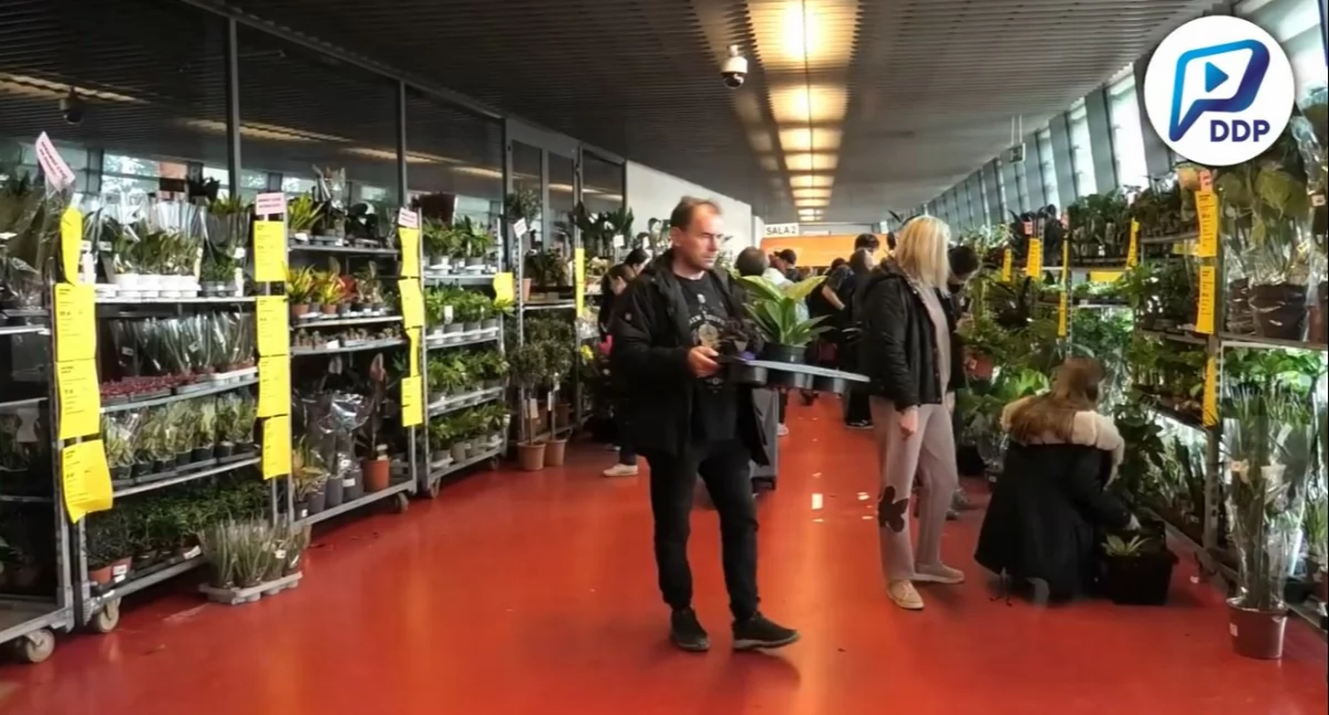Dwa dni z festiwalem roślin na stadionie miejskim w Białymstoku