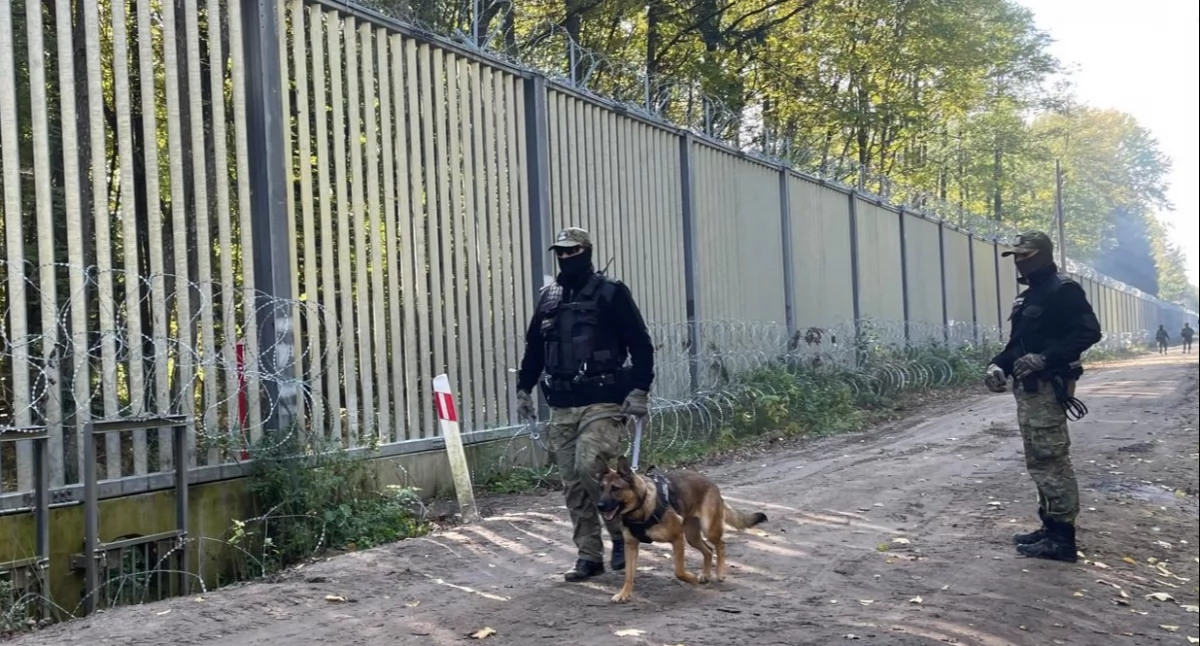 Cudzoziemcy forsując polską granicę rzucali kamieniami i konarami drzew w polskie patrole