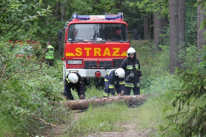 W lasach jest bardzo sucho. Strażacy w pełnym pogotowiu
