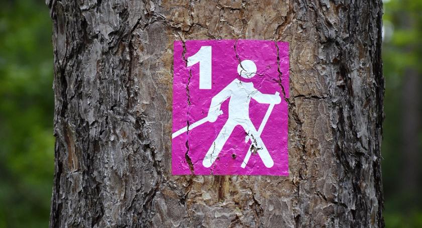 To są najpopularniejsze trasy nordic walking