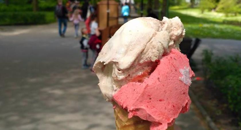 Lody świadczą o osobowości 
