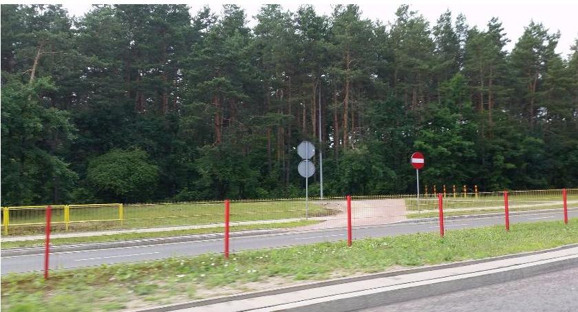 Trawa zamiast drzew jest lepsza niż beton